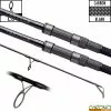 Canne Daiwa Vertice Carp 10' 3lbs (les 2)